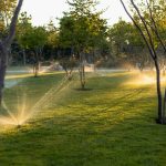 Watering System Soaker Hose How To: 7 Proven Tips to Avoid Costly Mistakes