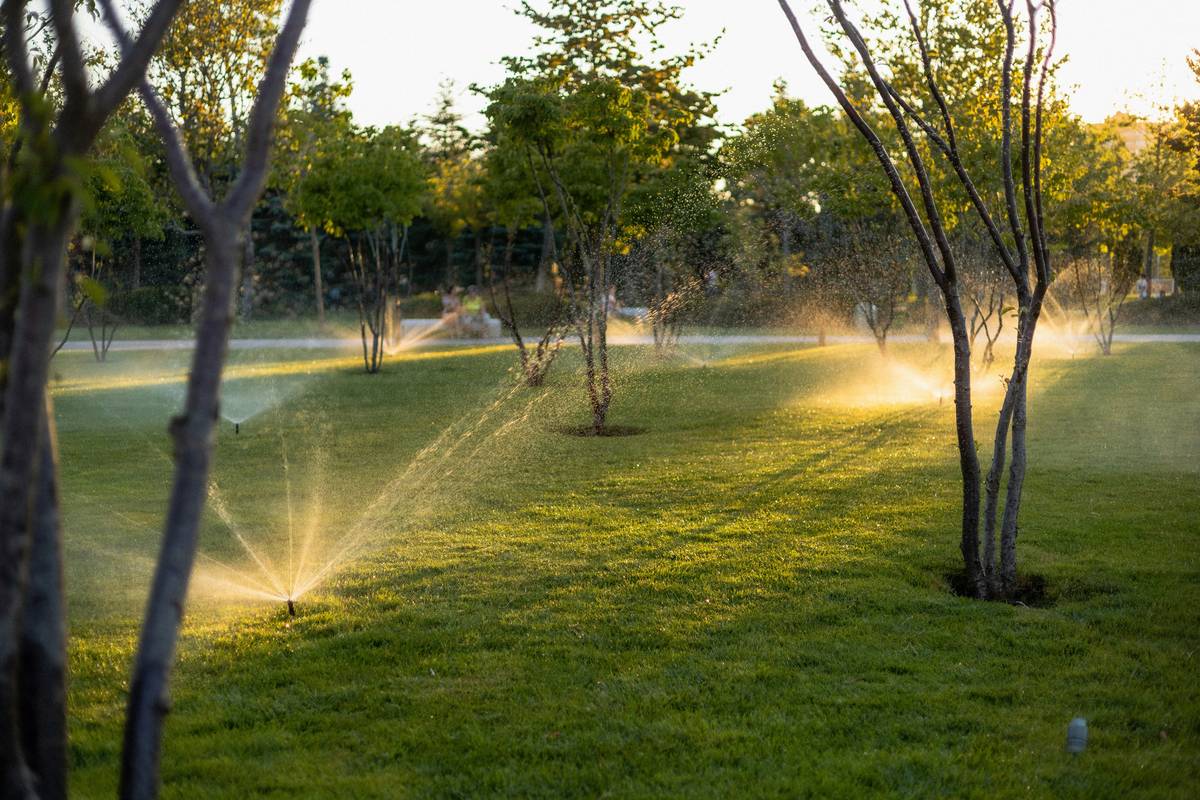 Watering System Soaker Hose How To: 7 Proven Tips to Avoid Costly Mistakes